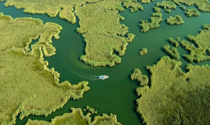Full Day Dalyan (Turtle Beach) From Bodrum