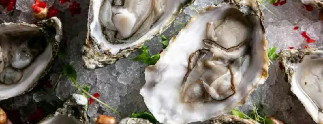 Oysters Happy Hour, drinks and live music experience