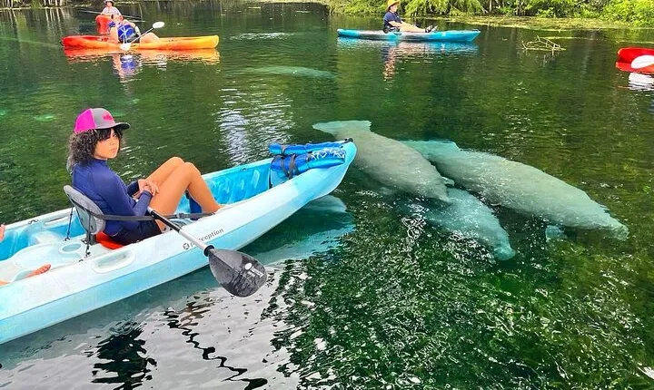 Silver Springs Kayak Rental - The Best Florida Adventure