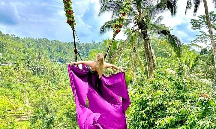 Best of Ubud With Ulu Petanu Waterfall Private Guided Tour