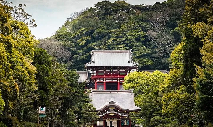 When Emperors Reigned and Shoguns Ruled