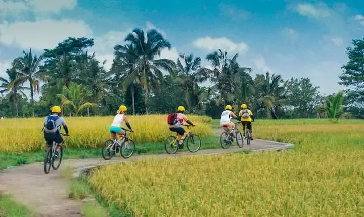 Bali Countryside Cycling Tour - Sharing Transport