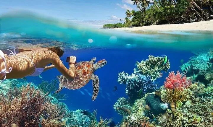 All Inclusive Bali Blue Lagoon Snorkeling Adventure