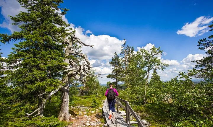 Day Trip to Korouoma Canyon from Rovaniemi