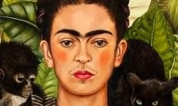 Frida Kahlo Tour with Admission Tickets