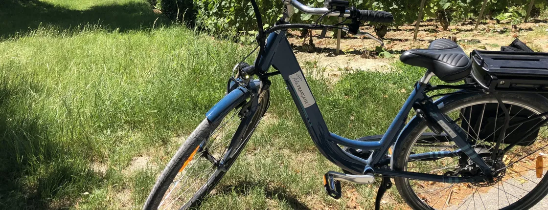 Full-day E-bike Tour in Champagne with Lunch