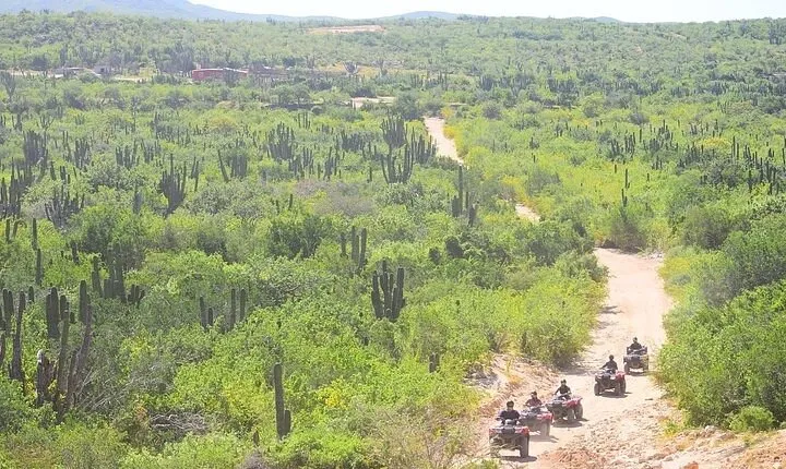 ATV experience among the desert