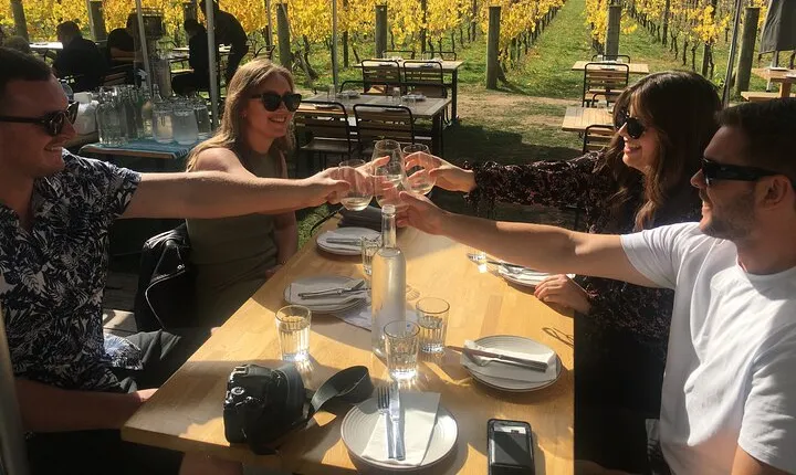 Private Wairarapa Wine Delights Tour from Wellington