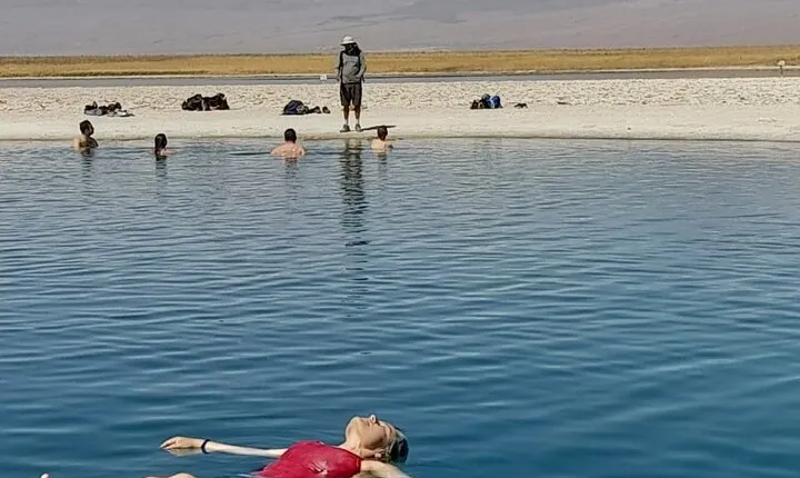 Half-Day Tour to Laguna Cejar