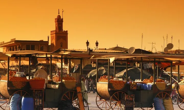 Private Tour: Half-Day Sightseeing Tour of Marrakech