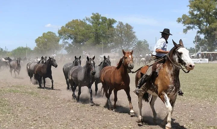 Gaucho Experience: A Day Trip to Don Silvano Ranch
