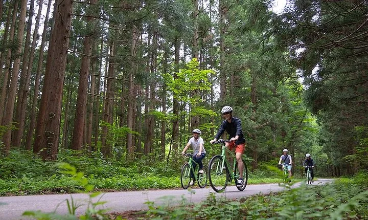Mount Haguro E-Bike Sightseeing Tour in Yamagata, Japan