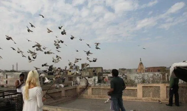 Kite Flying And Culture Walk In Old Delhi With Lunch Or Dinner