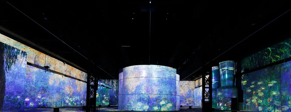 Phoenix des Lumières Permanent Exhibition Entry Tickets