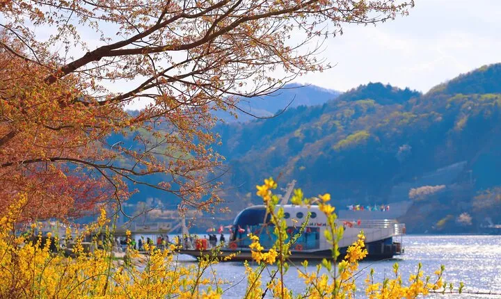 Trip to Nami Island with Petite France & Italian Village, Garden of Morning Calm