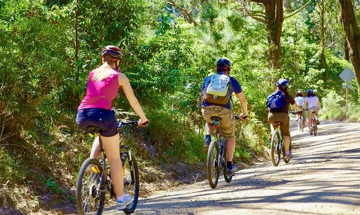 Urban Jungle Trail Cycling Tour from Colombo