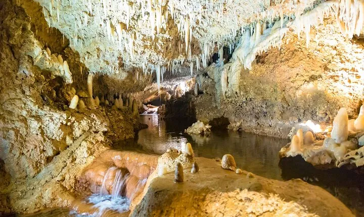 Harrison's Cave Tour in Barbados