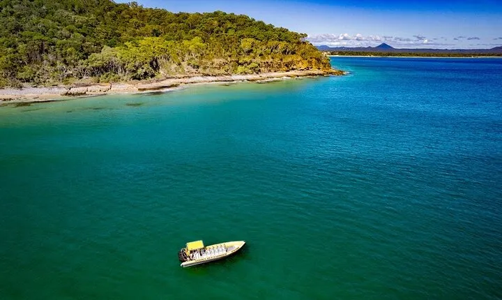 Noosa ocean tour & Dolphin safari. Family specials