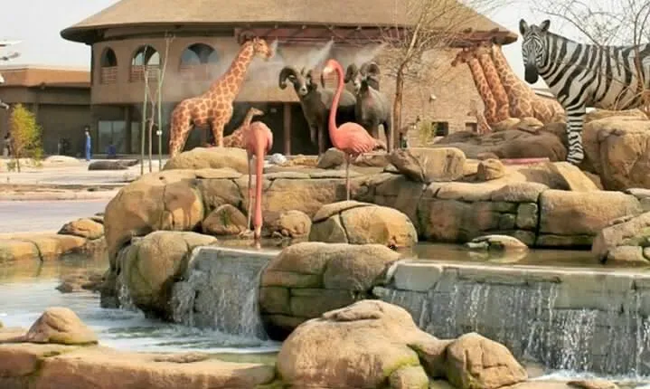 Dubai Safari Park