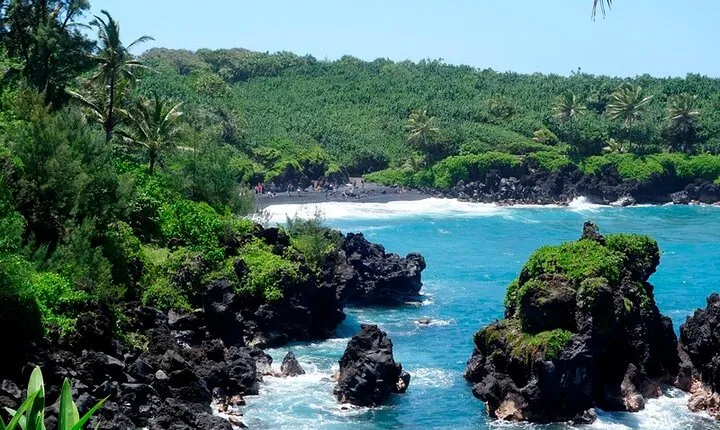 Road to Hana Rainforest, Black Sand Beach, Waterfalls & Lunch