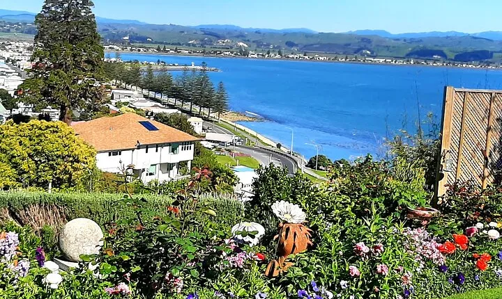 Deco Napier, Te Mata Peak, + Garden Walk, + Wine Tasting
