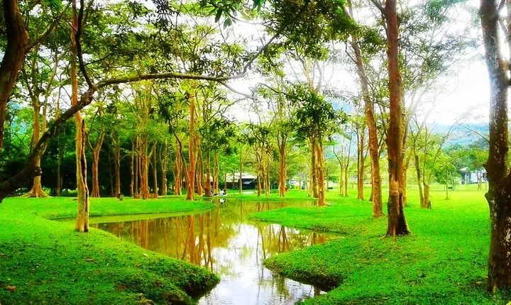 Half-Day Tour To Seethawaka Botanical Garden From Negombo