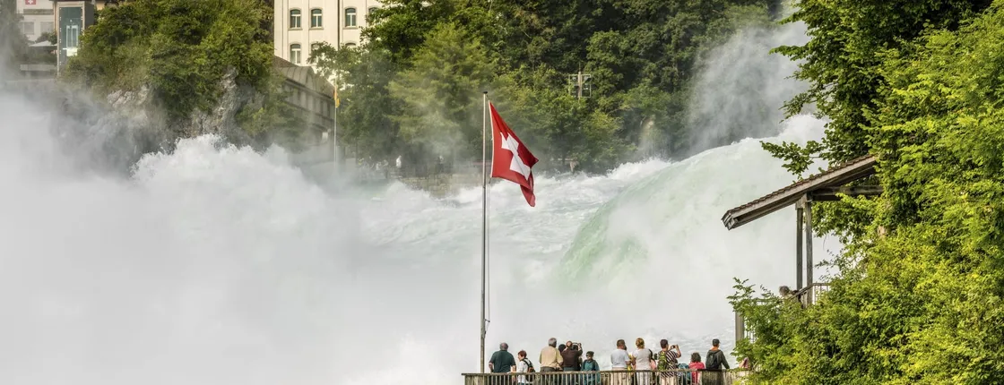 Super Saver Package - Rhine Falls and Zurich City