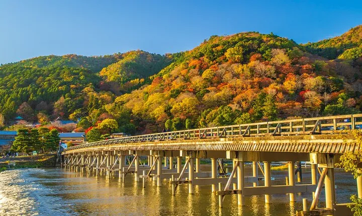 From Osaka or Kyoto: Kyoto and Nara 1-Day Bus Tour