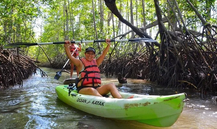 Mangrove Kayaking (or boat) Adventure