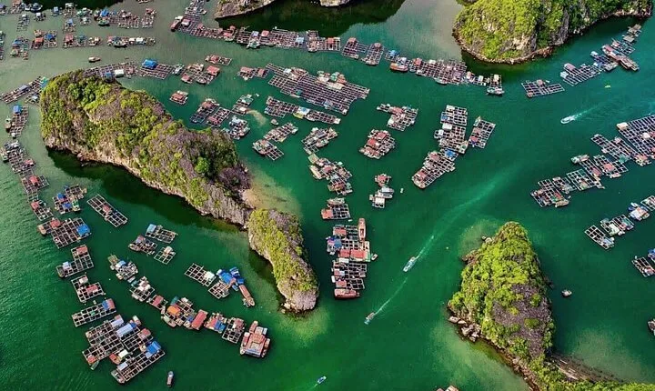1 Day Boat Tour Lan Ha Bay & Viet Hai Ancient Village from Cat Ba