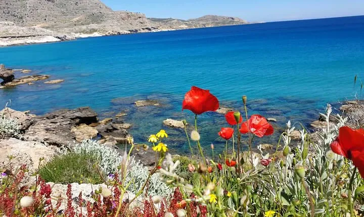 Private Swimming Snorkeling Experience at the Most Beautiful Bays of Rhodes