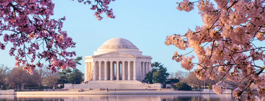 Tidal Basin: Stroll around the cherry blossoms and monuments on an audio tour