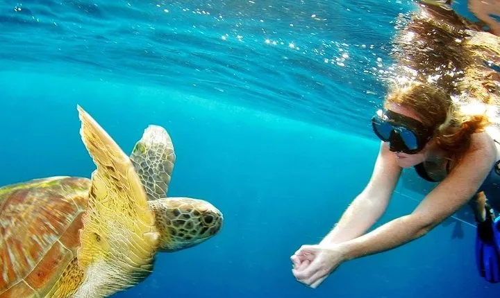 Explore Surin Islands: Ultimate Snorkeling Day Trip from Phuket