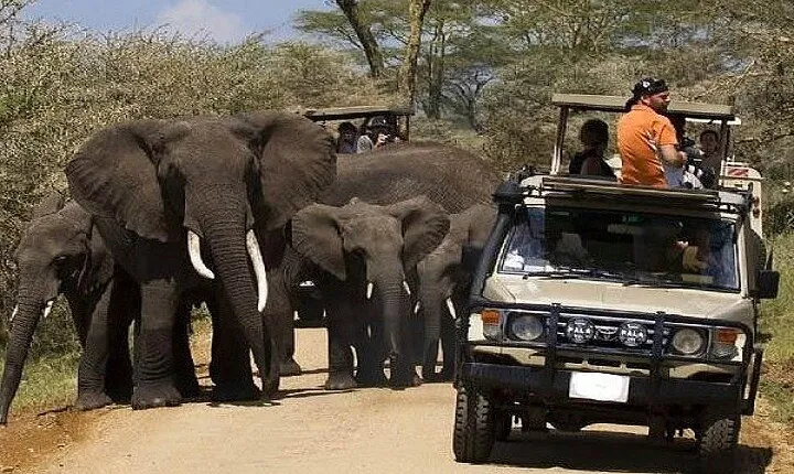 Explore 1 day Ngorongoro Crater Budget Group Safari from Arusha