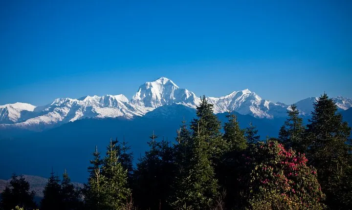 Luxury Ghorepani Poonhill Trek - 10 Days 