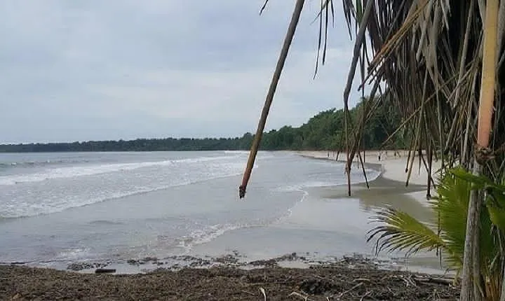 Cahuita National Park