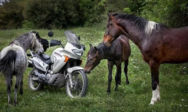 Riders tours (Vikos-Aoos Geopark)