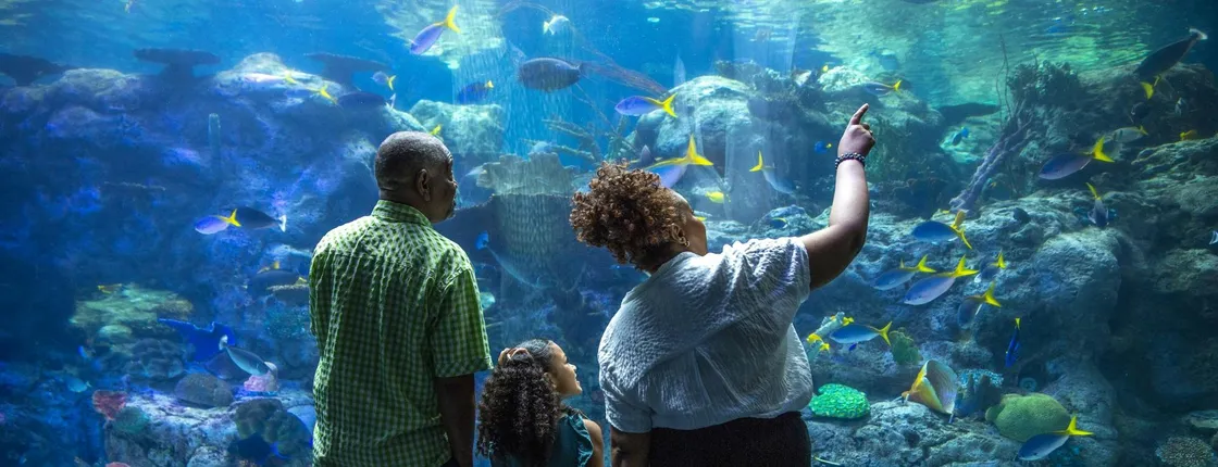 Aquarium of the Pacific Tickets
