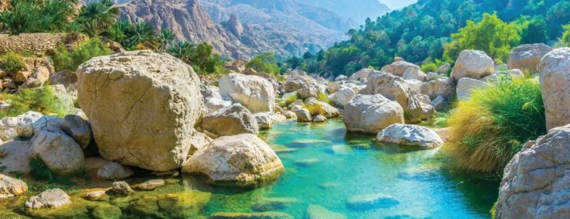 Discover the South and Wadi Shab