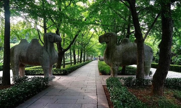 Nanjing Self-Guided Tour from Yangzhou with Private Car and Driver Service