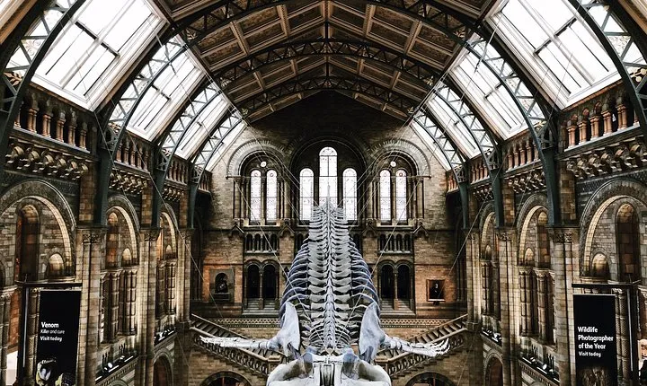 Natural History Museum London Guided Tour Semi-Private 8ppl Max