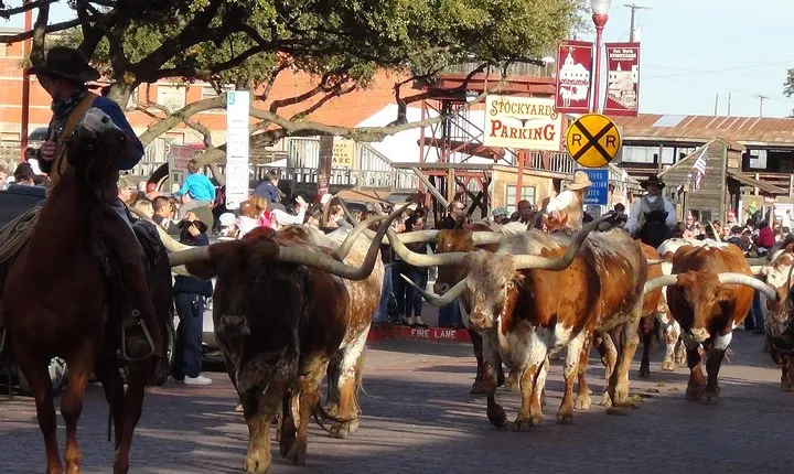 Fort Worth Historical Tour from Dallas