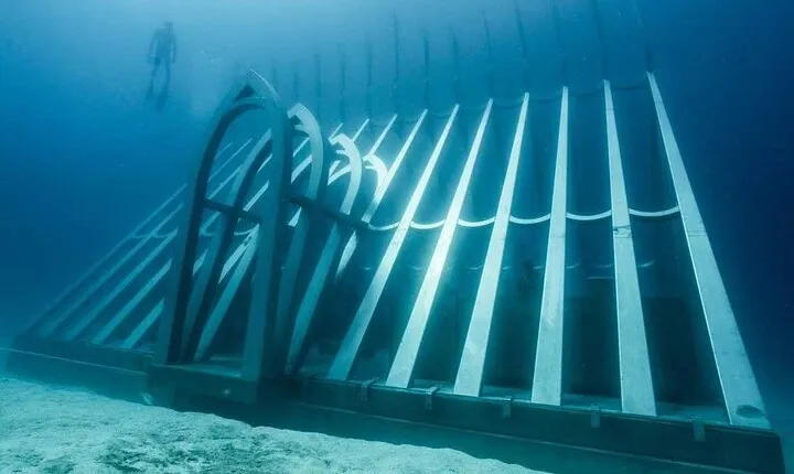 Great Barrier Reef and MOUA Cruise from Townsville or Magnetic Island