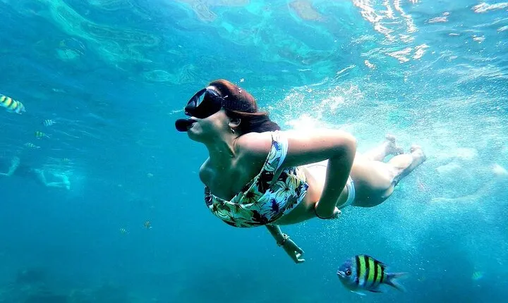 From Phuket: Phi Phi, Maya and Bamboo Islands Full Day Visit