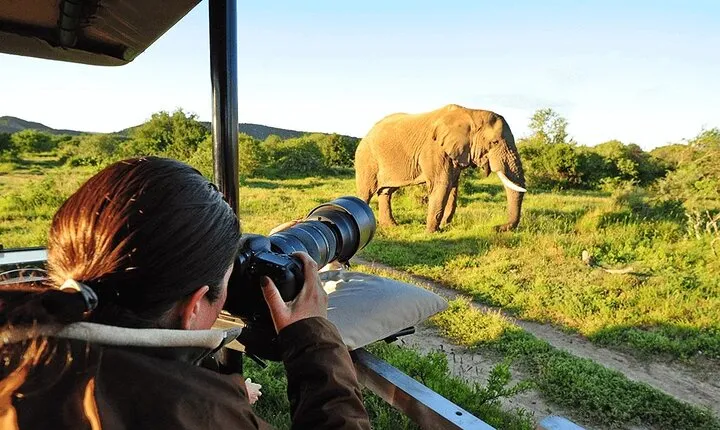 3 Days Group Camping Tour in Tarangire, Ngorongoro & Manyara