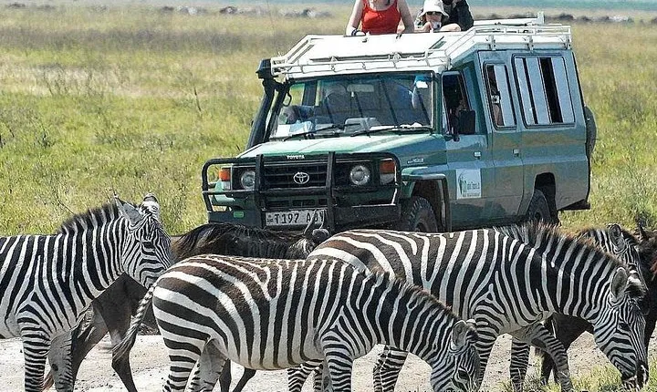 2 Days Joined Group Tarangire and Ngorongoro Crater National Park