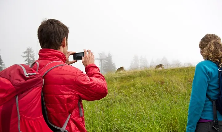 Canmore: Wilderness & Wildlife Tour - 2hr Walk