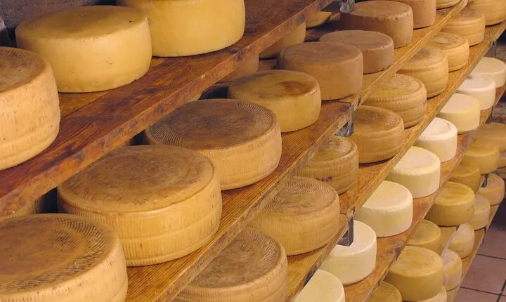Tuscany Olive Oil and Cheese Tour with San Gimignano Visit