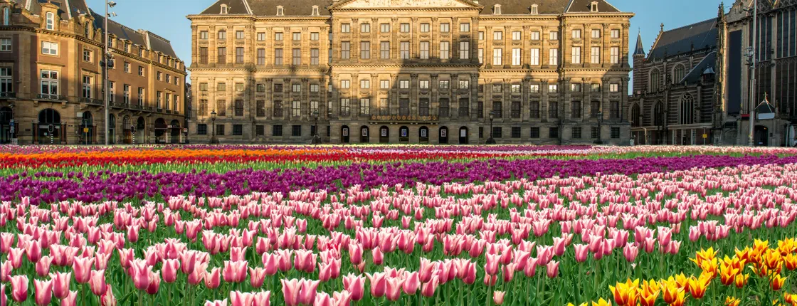 3-hour historic Amsterdam private bike tour