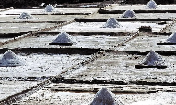 Bilbao: Discover Añana Salt Valley and Vitoria